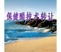 產(chǎn)品庫技術(shù)轉(zhuǎn)讓 驅(qū)動(dòng)創(chuàng)新與價(jià)值優(yōu)化的戰(zhàn)略路徑